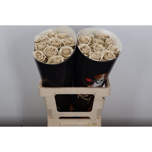 R Ov Wx Caramel W26