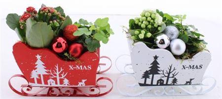 <h4>Arr Zink Slee</h4>