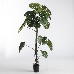 AF Philo pot H180cm Green