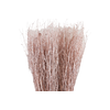 Berk Klb Champagne Diamond