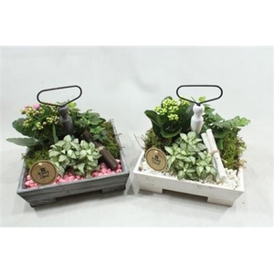 4497 ETAGAIRE VK RO/WIT