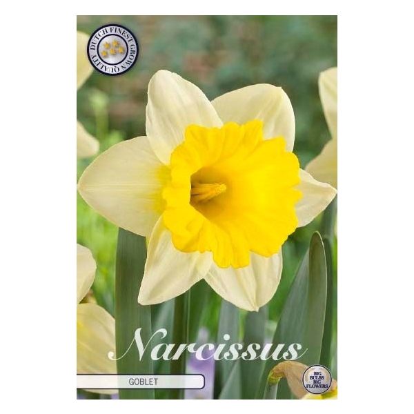 <h4>Narcissus Trumpet Goblet x 5 14/16</h4>