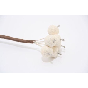 MALUSAPPEL OP STOK WIT