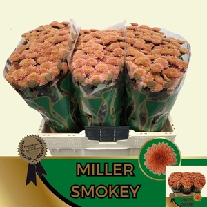 CHR S MILLER SMOKEY