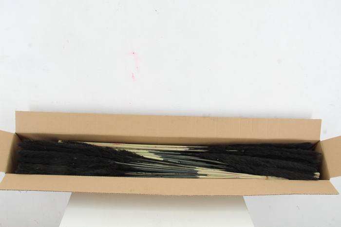 <h4>DF Pampas Silvy Black</h4>