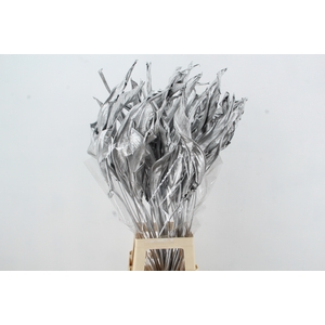 DF Strelitzia Leaf Silver