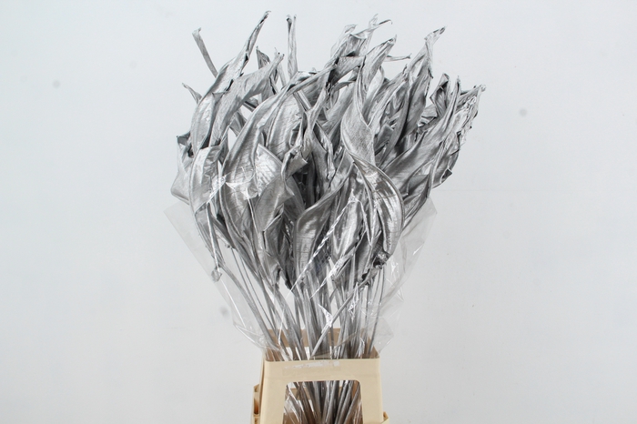 <h4>DF Strelitzia Leaf Silver</h4>