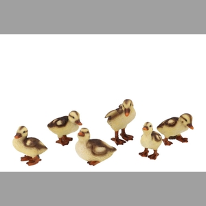 Baby Duck Ass 10x6x10cm