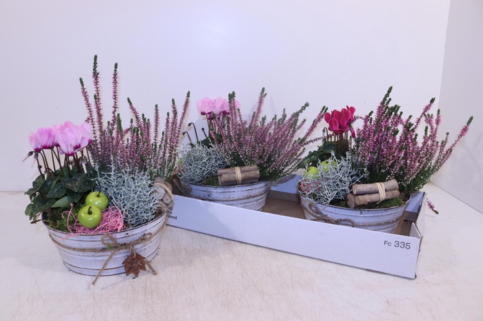 <h4>ARR TUINPLANTEN</h4>