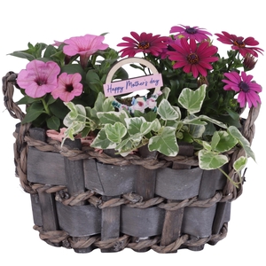 Mothersday Arr. Outdoor Willow Basket Woven Wood Oval Ø29cm 3PP