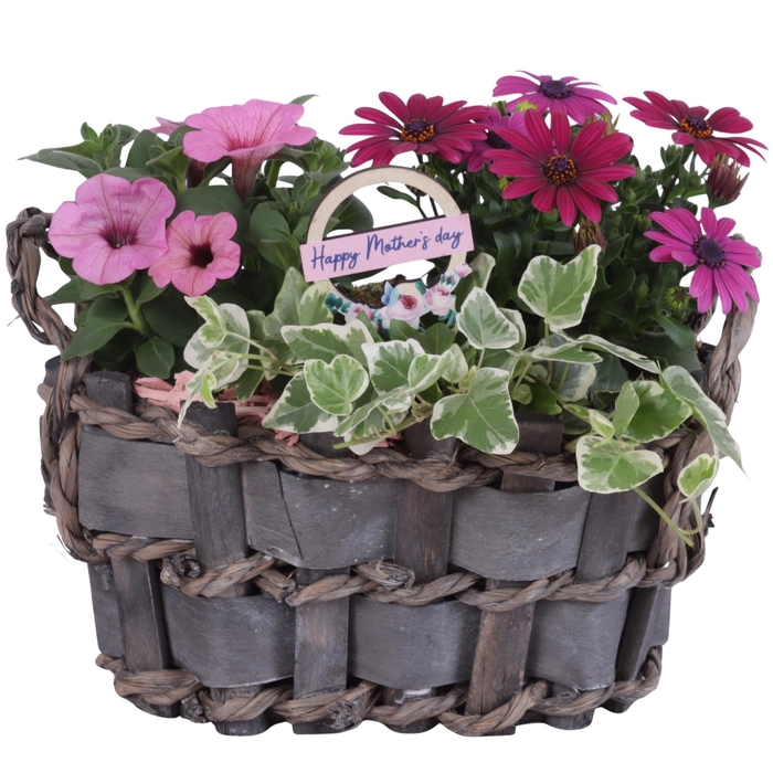 <h4>Mothersday Arr. Outdoor Willow Basket Woven Wood Oval Ø29cm 3PP</h4>