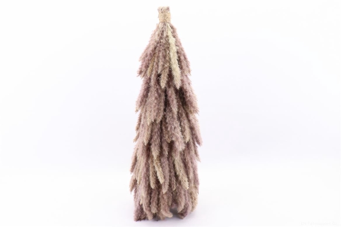 <h4>Tree Pampas H70d25</h4>