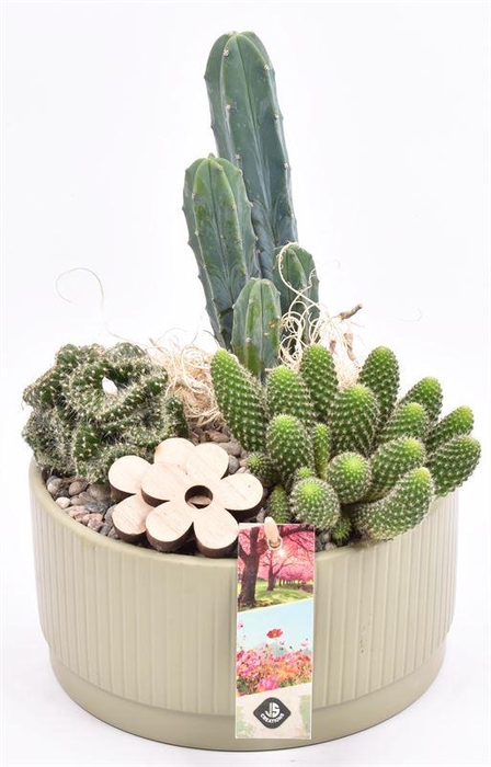 <h4>Keamiek lines khaki schaal 18cm</h4>