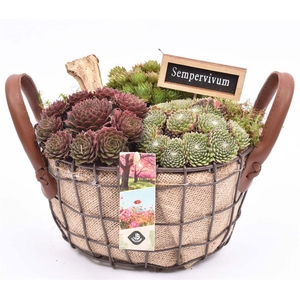 Gaasmand ovaal met jute 25x20cm