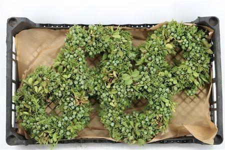 <h4>SIERFRUIT KRANS H%</h4>