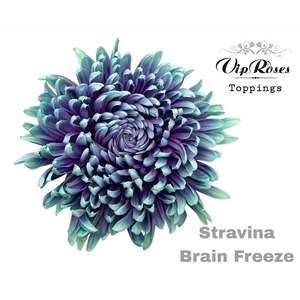 CHR G STRAVINA BRAIN FREEZE