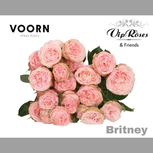 R TR BRITNEY