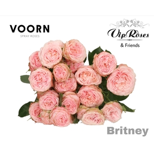 R TR BRITNEY