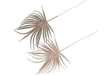 <h4>Pick Shine Palm Champagne/gold 36cm Ass Per 12 Nm</h4>
