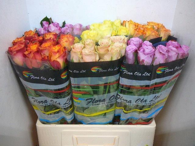 <h4>R GR GEM IN FUST</h4>