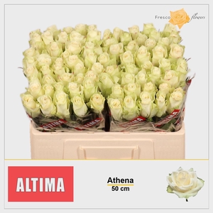 R GR ATHENA
