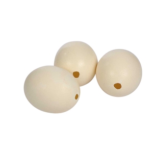 Egg Ostrich