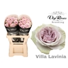 R GR VILLA LAVINIA