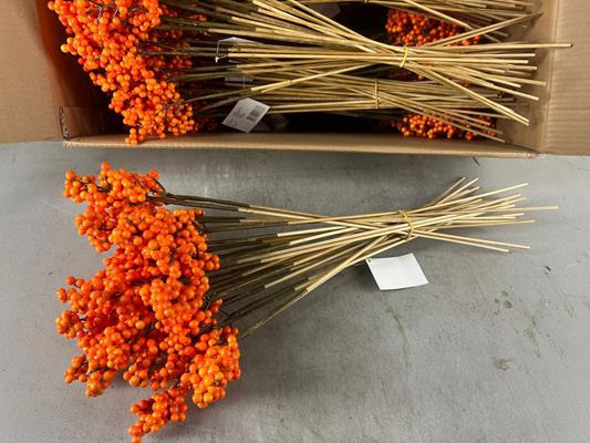 <h4>Stick Berries Ilex Orange</h4>