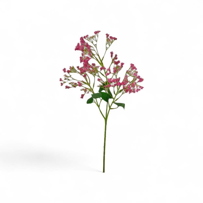 <h4>AF Limonium spray L74cm fuchs</h4>