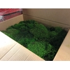 Platmos preserved springgreen 3kg
