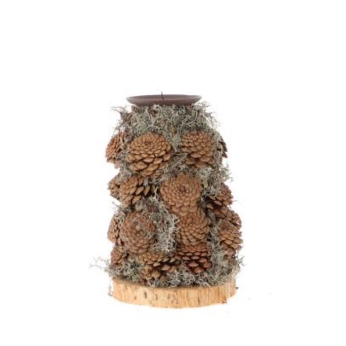 <h4>Christmas natural Pine moss candle holder 17*30cm</h4>