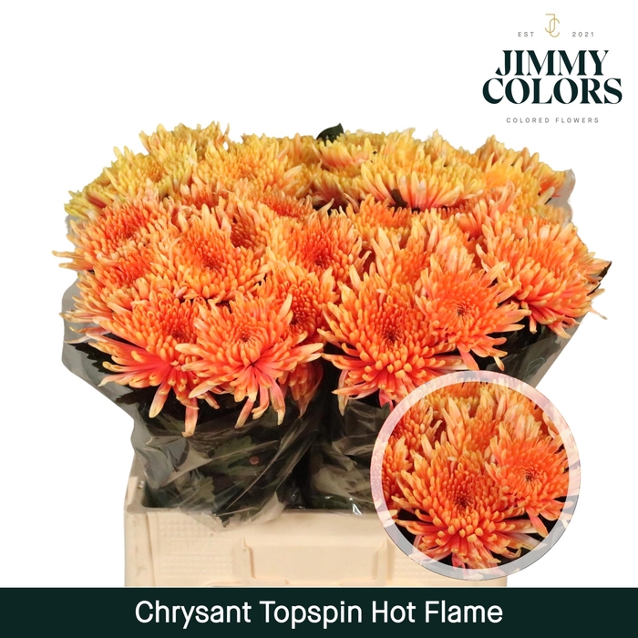 <h4>Chr G Topspin Hot Flame</h4>