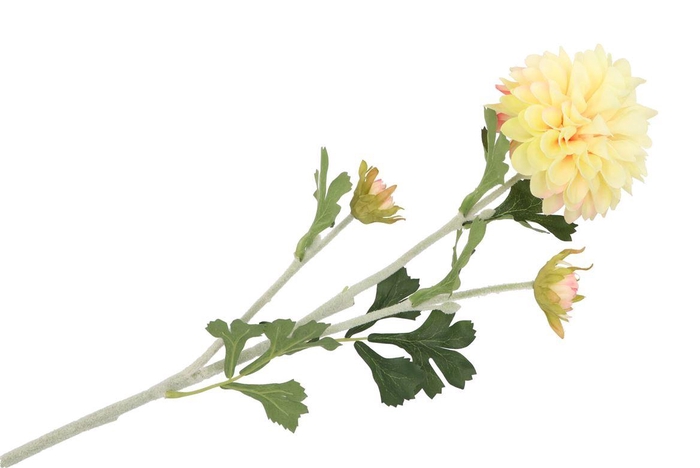 <h4>Silk Dahlia 3x Peach 65cm Nm</h4>