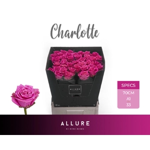 R Gr Charlotte Allure Berg