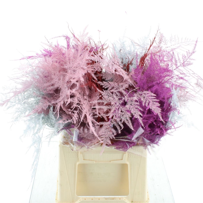 <h4>Asp. 1e Veren Love Mix</h4>