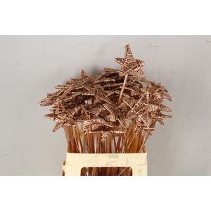 Stick Lata Star Copper Flat