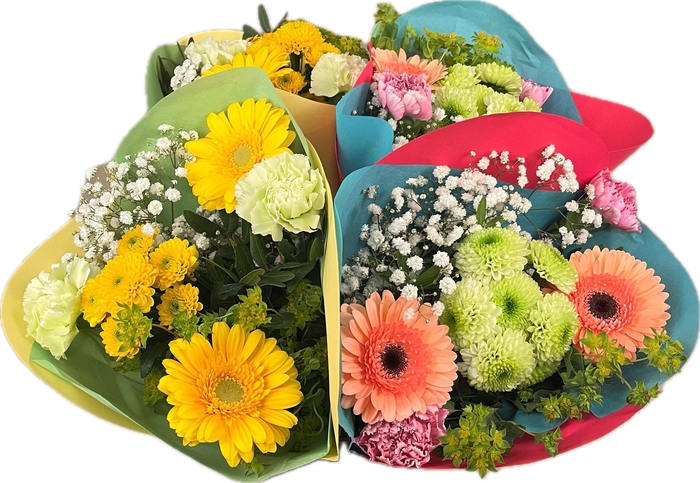 <h4>Bq Spring mix</h4>