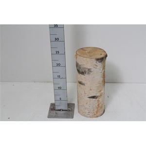 Deco Berkenstam H25 D12