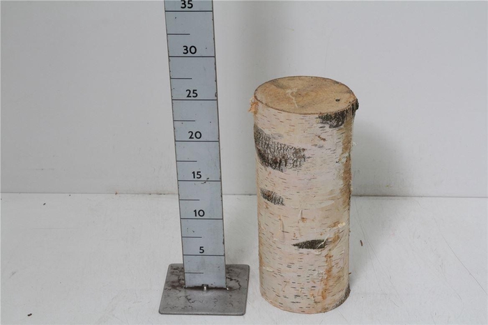 <h4>Deco Berkenstam H25 D12</h4>