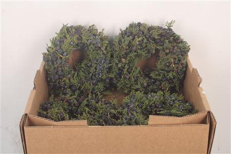 <h4>Krans Juniperis Berry Black 15cm</h4>