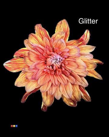 Chr T 2 Kl Baltica Aruba + Glit Bio