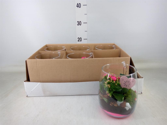 Planten  ..in schaal H%