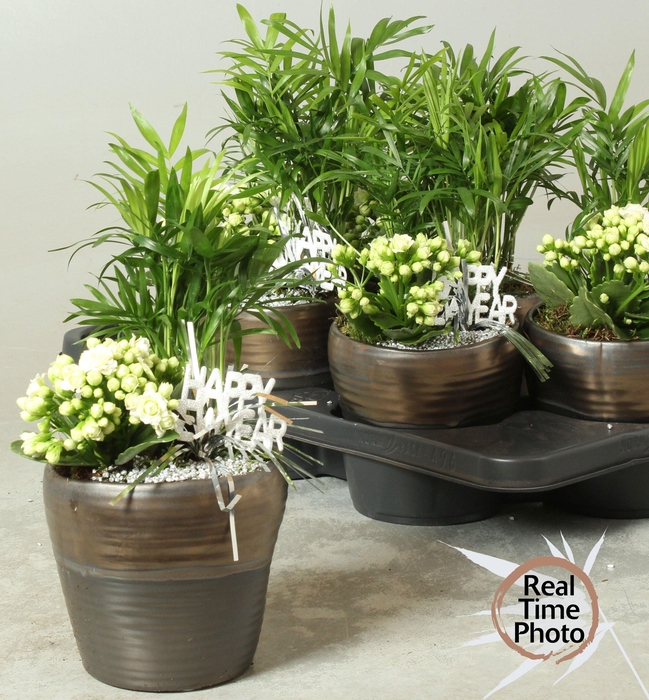 <h4>ARR KAMERPL</h4>