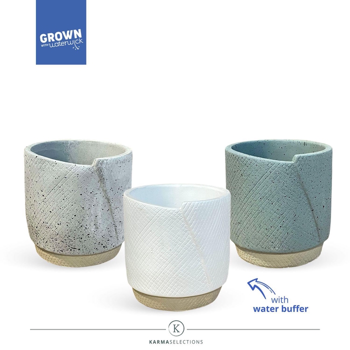 <h4>Karma - SOLO POTS - Evy 9 cm</h4>