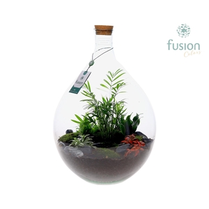Green Bottle Gallon met Arrangement