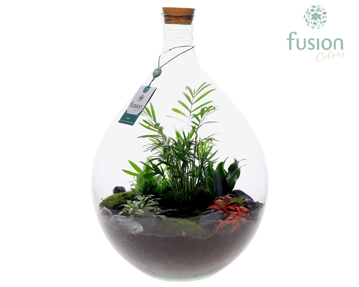 <h4>Green Bottle Gallon met Arrangement</h4>