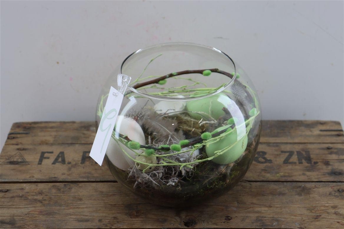 Arr Hipp Mosbol Sterren Mix Mo-04