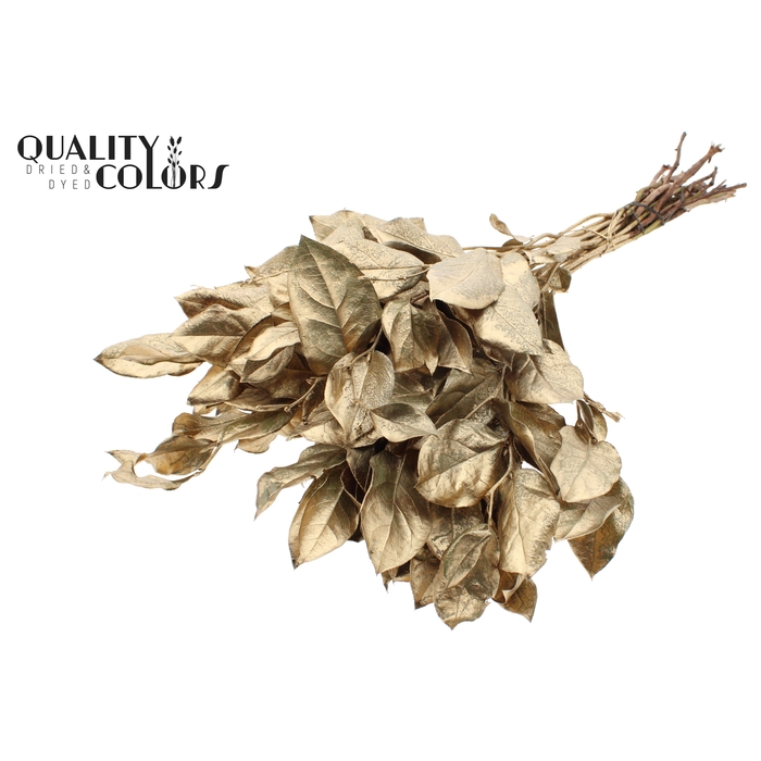 <h4>Salal tips dried per bunch Antique Gold</h4>