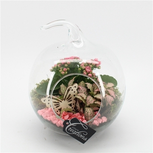 ESCR-2502RZ Essentials terrarium