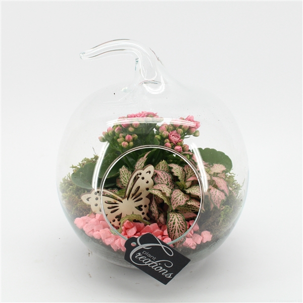 <h4>ESCR-2502RZ Essentials terrarium</h4>